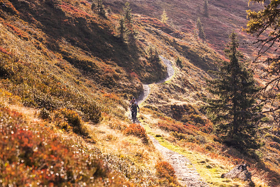 Asitz Trail (c) Klemens Koenig (28)