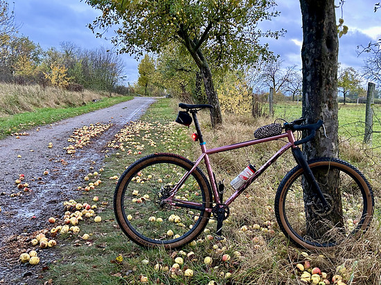 Winterpokal einläuten 🚀