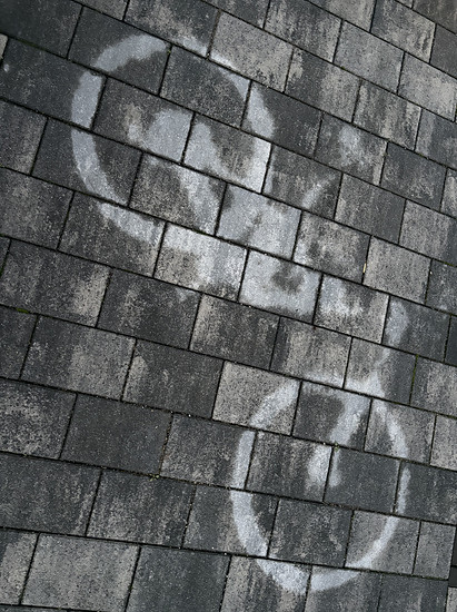 Bio: Mal kurz das Rad dreckig machen