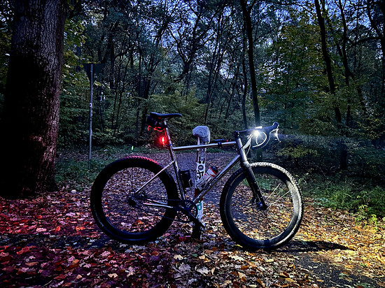 Feuchtgebiete erkunden