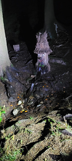 Dem Wassermännel die Ehre erweisen