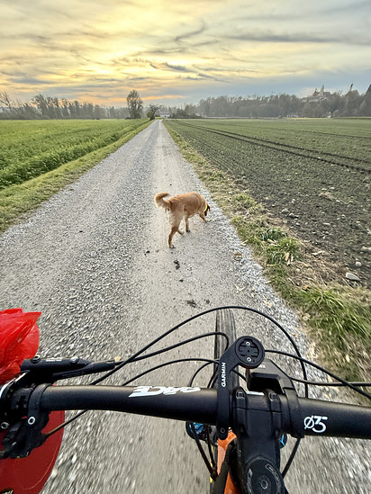 Winterpokal-Aktivität