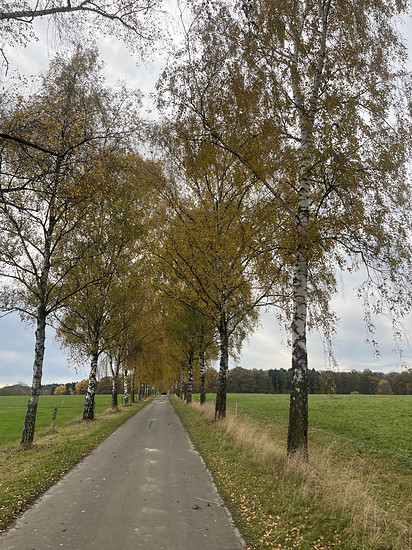 30.10.2025 Oktober IV.4; WP4 🥐⛰️🪛🧰🥐