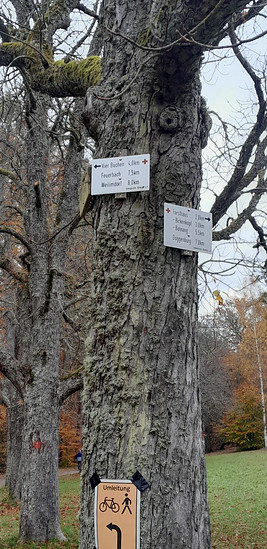 Bärensee (Stuttgart), Bärenschlössle, Birkenkopf (Monte Scherbelino). Grüner Heiner, Schloß Solitude, Bärensee.