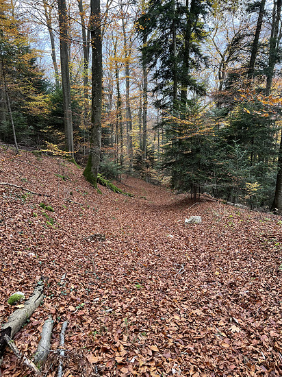 MTB Runde - 17 Grad erst bewölkt dann Dauerregen