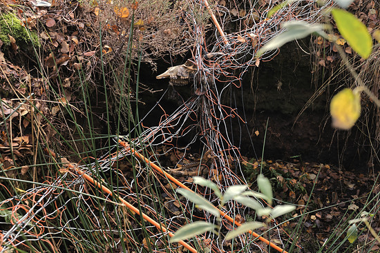 Winterpokal-Aktivität