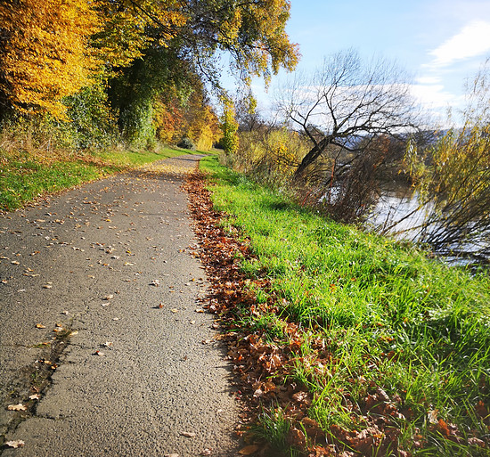 Winterpokal-Aktivität