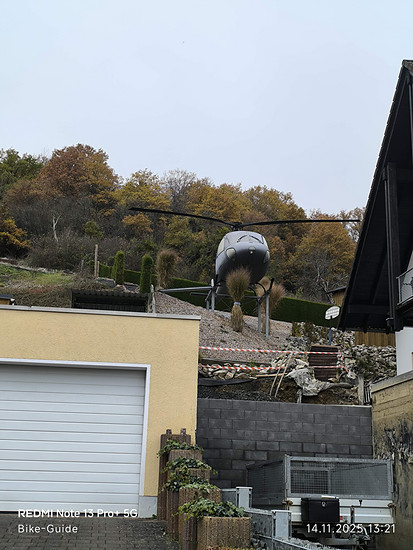 Mit Jörg Schloss Dhaun und die Naumburg aufgesucht ... Und Plattfuß war auch dabei