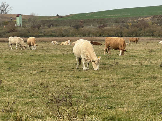 Winterpokal-Aktivität