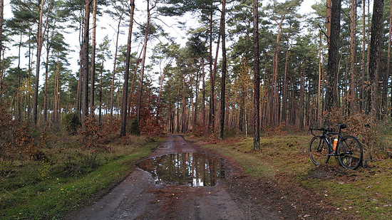 Winterpokal-Aktivität