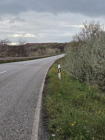 Durch den grauen November