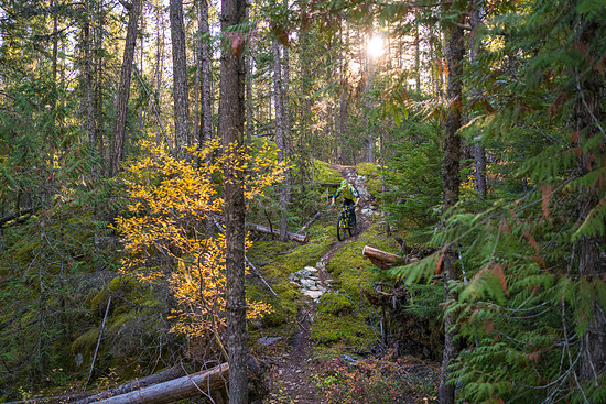 BC Whistler - Kill Me Thrill Me