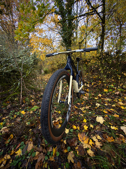 ... passt perfekt zum cleanen Style des Hardtail-Rahmens mit Rigid-Gabel