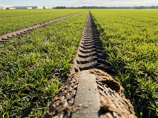 🔲 Squadratinho +10, Yardinho +11