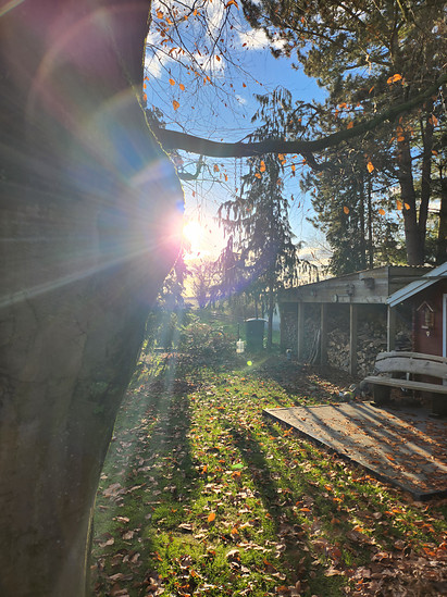 Winterpokal-Aktivität
