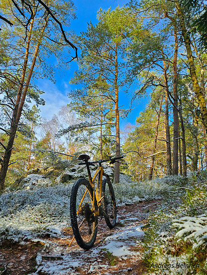 Winterpokal-Aktivität