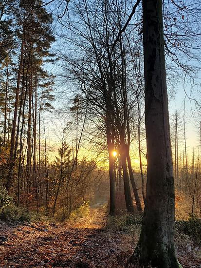 Winterpokal-Aktivität