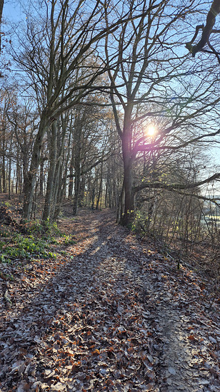 Winterpokal-Aktivität