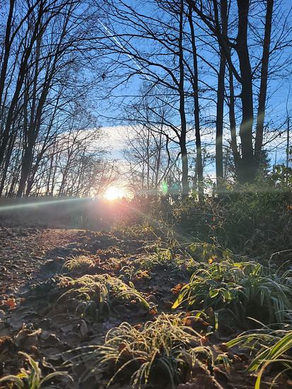 Winterpokal-Aktivität
