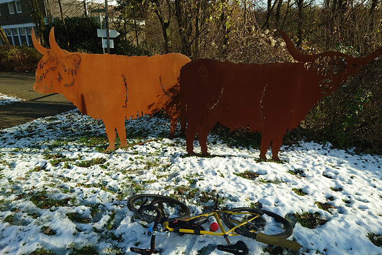 Winterpokal-Aktivität