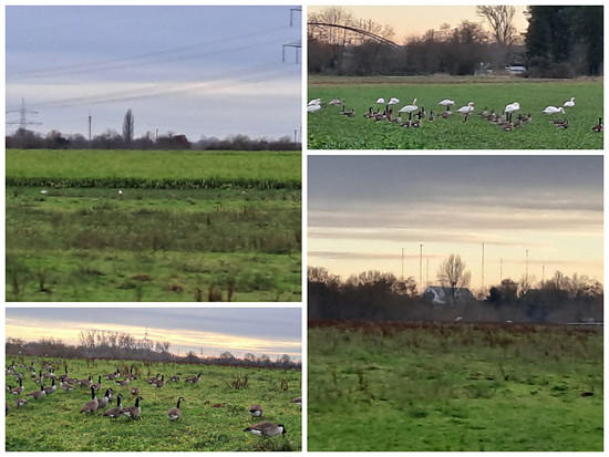 Winterpokal-Aktivität