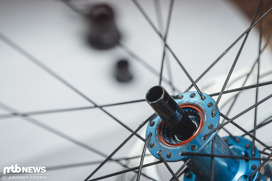 Der Freilauf lässt sich werkzeuglos in Windeseile demontieren.