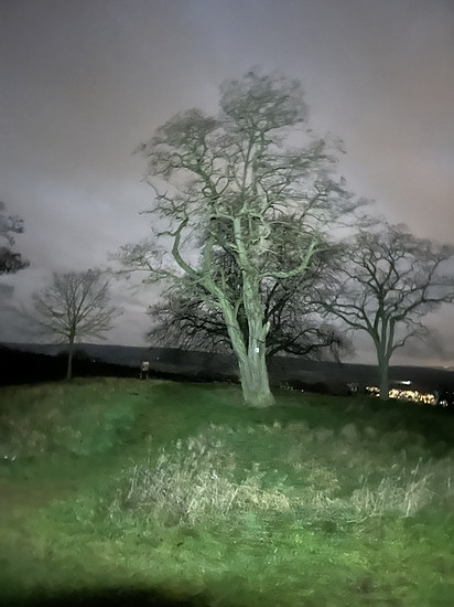 05.12.2025 Dezember I.5; WP36 🥐 ⛰️