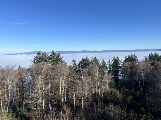 Winterpokal-Aktivität