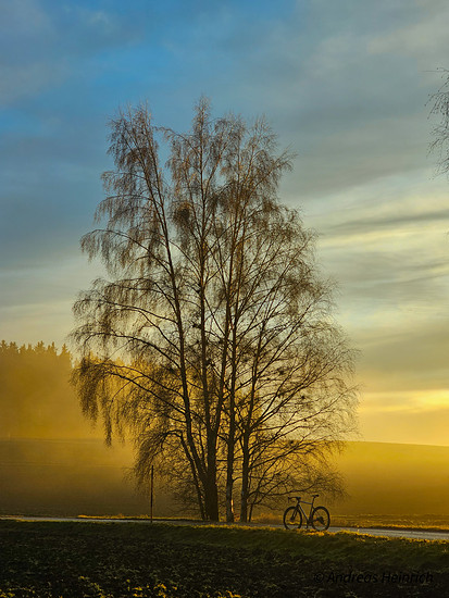 Winterpokal-Aktivität