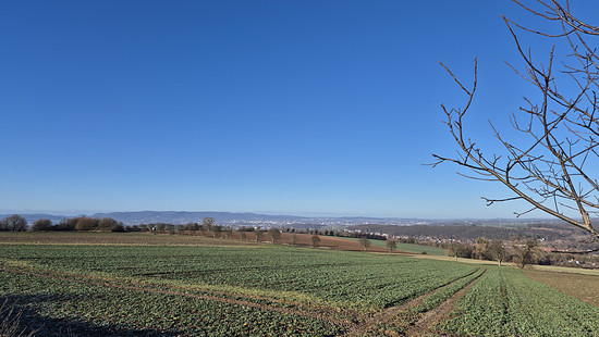 Winterpokal-Aktivität