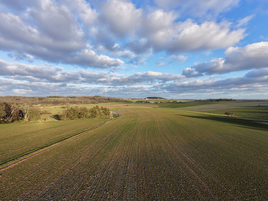 Spaziergang am Nachmittag