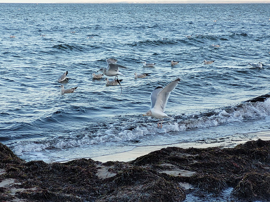 Winterpokal-Aktivität