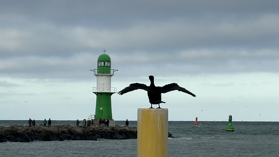 Winterpokal-Aktivität