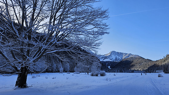 Winterpokal-Aktivität