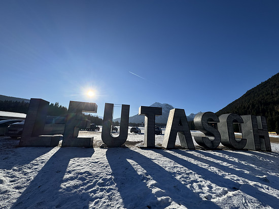 Unplant chli lang worde…