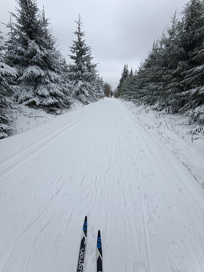Neujahrs-Ski-LL Osterzgebirge