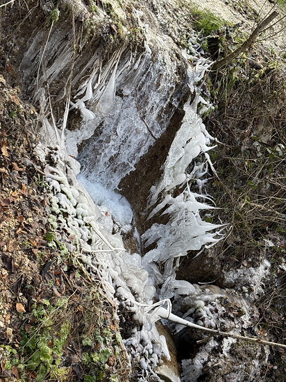 Winterpokal-Aktivität
