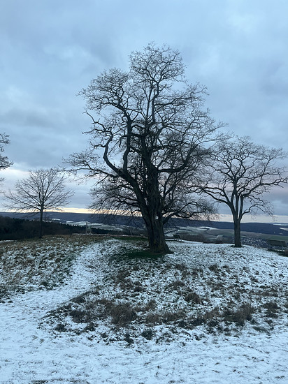 02.01.2026 Januar 1.1; WP56 🥐 ⛰️🥐