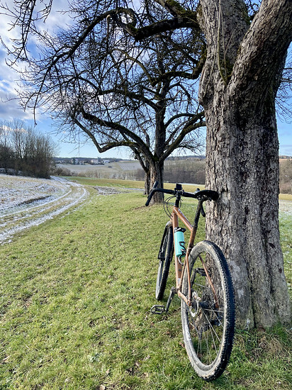 Winterpokal-Aktivität