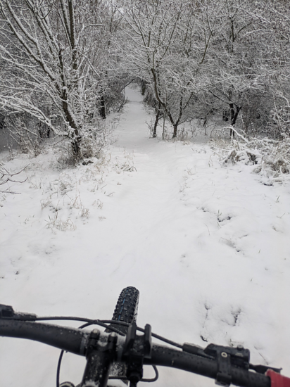 Winterpokal-Aktivität