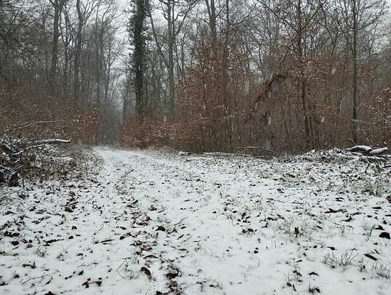 Winterpokal-Aktivität