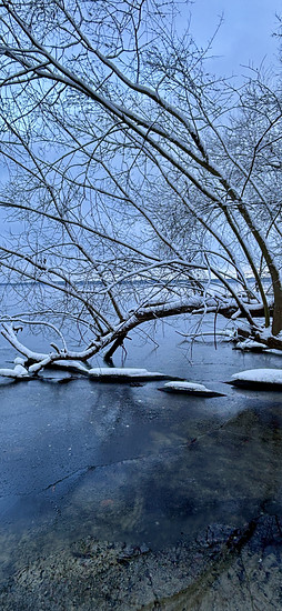 Winterpokal-Aktivität