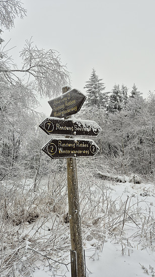 Winterpokal-Aktivität