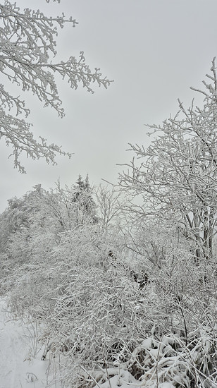 Winterpokal-Aktivität
