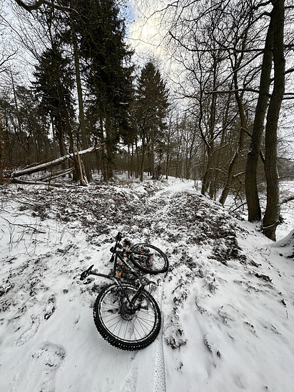 Bei Schnee zum Lehrpfad