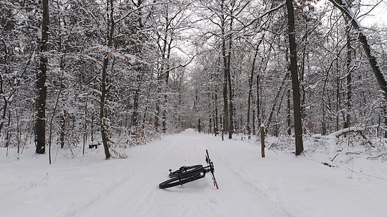 Winterpokal-Aktivität