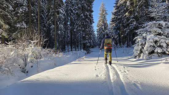 14er Rundloipe Schöneck+Herrenbergloipe
