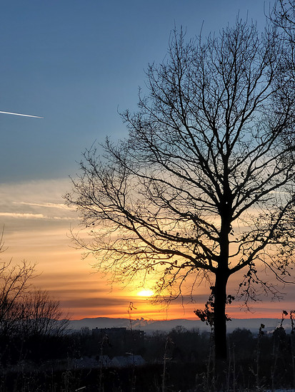 Winterpokal-Aktivität