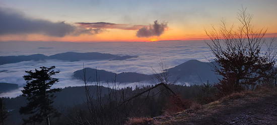 Spaziergang Nachmittag