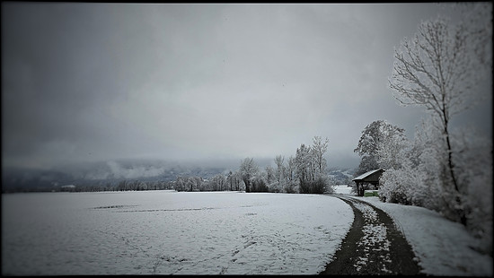 Winterpokal-Aktivität